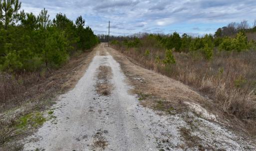 Photo #32 of SOLD property in Off Highway 55, Dover, NC 47.2 acres
