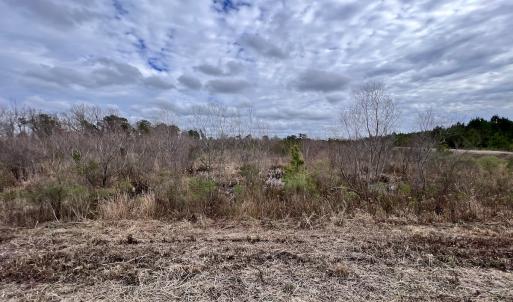 Photo #36 of SOLD property in Off Highway 55, Dover, NC 47.2 acres