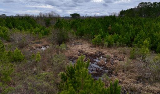 Photo #37 of SOLD property in Off Highway 55, Dover, NC 47.2 acres