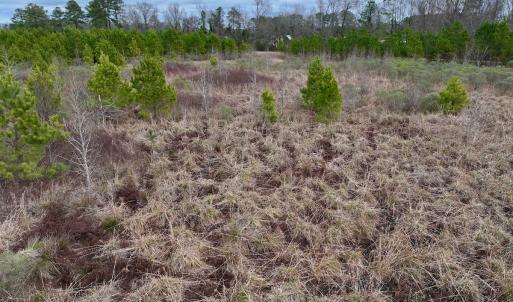 Photo #38 of SOLD property in Off Highway 55, Dover, NC 47.2 acres