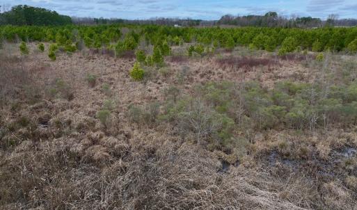 Photo #39 of SOLD property in Off Highway 55, Dover, NC 47.2 acres