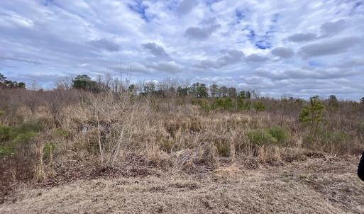 Photo #40 of SOLD property in Off Highway 55, Dover, NC 47.2 acres
