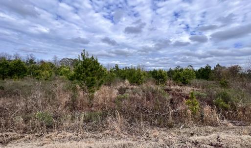 Photo #41 of SOLD property in Off Highway 55, Dover, NC 47.2 acres