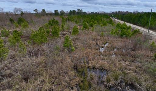Photo #45 of SOLD property in Off Highway 55, Dover, NC 47.2 acres