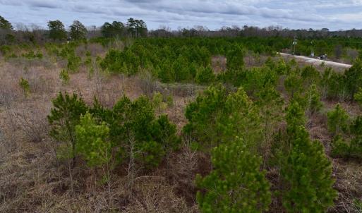 Photo #46 of SOLD property in Off Highway 55, Dover, NC 47.2 acres