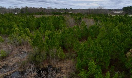 Photo #47 of SOLD property in Off Highway 55, Dover, NC 47.2 acres