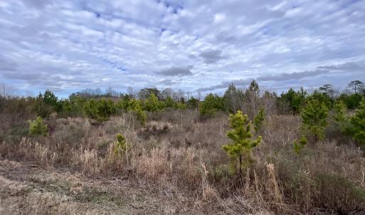 Photo #48 of SOLD property in Off Highway 55, Dover, NC 47.2 acres