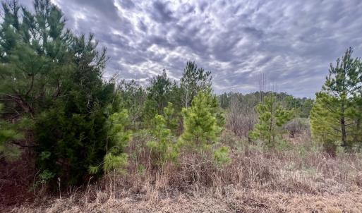 Photo #49 of SOLD property in Off Highway 55, Dover, NC 47.2 acres