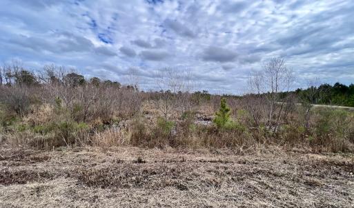 Photo #51 of SOLD property in Off Highway 55, Dover, NC 47.2 acres