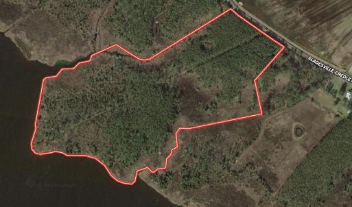 Photo #1 of SOLD property in Off Sladesville Credle Rd, Scranton, NC 36.9 acres