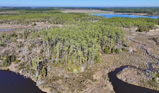 Photo #13 of SOLD property in Off Sladesville Credle Rd, Scranton, NC 36.9 acres
