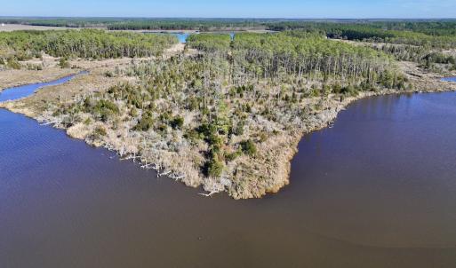 Photo #19 of SOLD property in Off Sladesville Credle Rd, Scranton, NC 36.9 acres