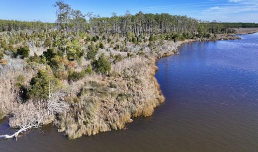 Photo #20 of SOLD property in Off Sladesville Credle Rd, Scranton, NC 36.9 acres