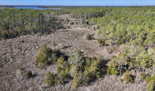 Photo #10 of SOLD property in Off Sladesville Credle Rd, Scranton, NC 36.9 acres