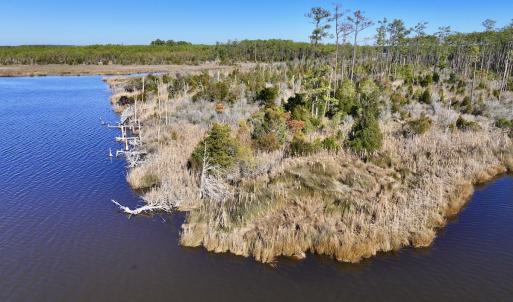 Photo #21 of SOLD property in Off Sladesville Credle Rd, Scranton, NC 36.9 acres