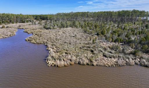 Photo #22 of SOLD property in Off Sladesville Credle Rd, Scranton, NC 36.9 acres