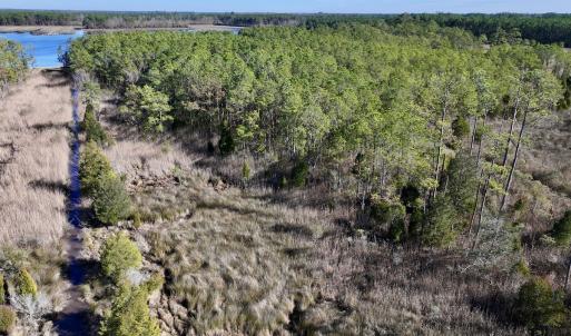 Photo #27 of SOLD property in Off Sladesville Credle Rd, Scranton, NC 36.9 acres