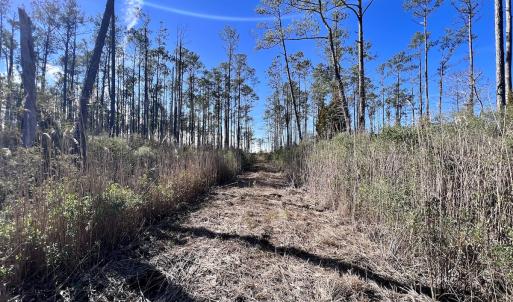 Photo #29 of SOLD property in Off Sladesville Credle Rd, Scranton, NC 36.9 acres