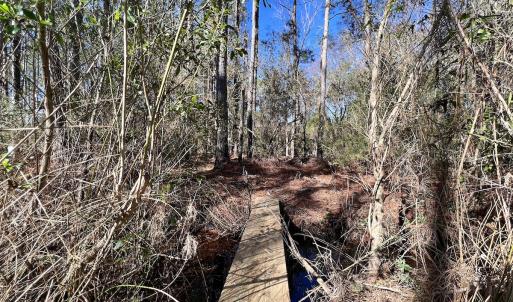 Photo #32 of SOLD property in Off Sladesville Credle Rd, Scranton, NC 36.9 acres
