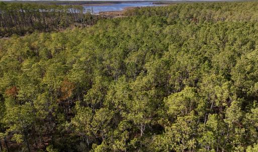 Photo #36 of SOLD property in Off Sladesville Credle Rd, Scranton, NC 36.9 acres