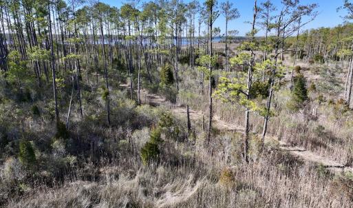 Photo #38 of SOLD property in Off Sladesville Credle Rd, Scranton, NC 36.9 acres