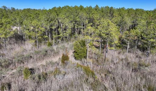 Photo #39 of SOLD property in Off Sladesville Credle Rd, Scranton, NC 36.9 acres