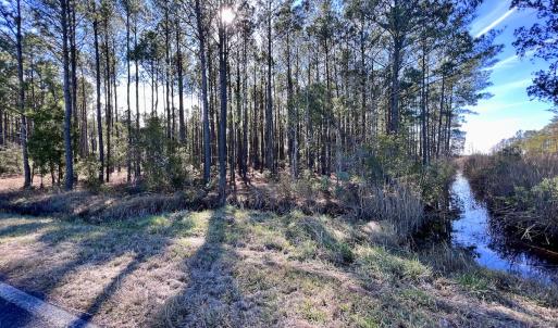 Photo #43 of SOLD property in Off Sladesville Credle Rd, Scranton, NC 36.9 acres