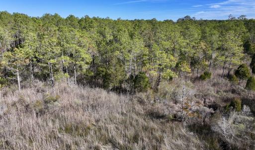 Photo #44 of SOLD property in Off Sladesville Credle Rd, Scranton, NC 36.9 acres