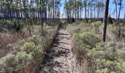 Photo #46 of SOLD property in Off Sladesville Credle Rd, Scranton, NC 36.9 acres