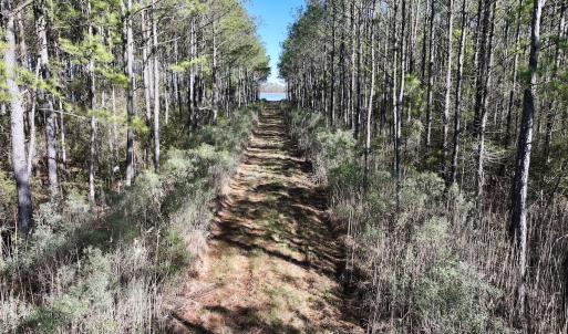 Photo #47 of SOLD property in Off Sladesville Credle Rd, Scranton, NC 36.9 acres