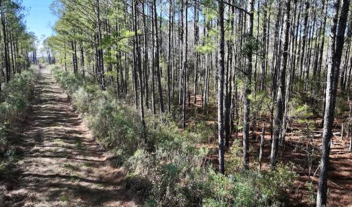 Photo #50 of SOLD property in Off Sladesville Credle Rd, Scranton, NC 36.9 acres