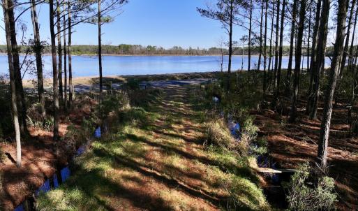 Photo #51 of SOLD property in Off Sladesville Credle Rd, Scranton, NC 36.9 acres