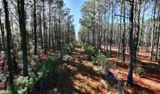 Photo #52 of SOLD property in Off Sladesville Credle Rd, Scranton, NC 36.9 acres