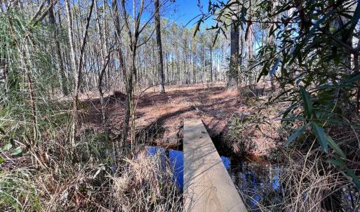 Photo #55 of SOLD property in Off Sladesville Credle Rd, Scranton, NC 36.9 acres