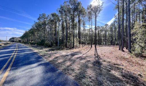 Photo #57 of SOLD property in Off Sladesville Credle Rd, Scranton, NC 36.9 acres