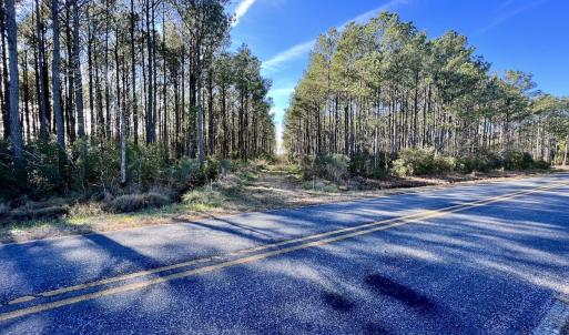 Photo #58 of SOLD property in Off Sladesville Credle Rd, Scranton, NC 36.9 acres