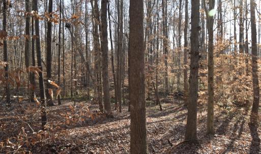 Photo #14 of SOLD property in 334 Westview Drive, Gibsonville, NC 2.9 acres