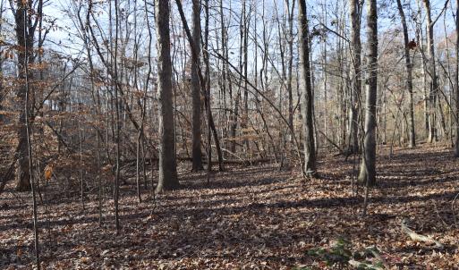 Photo #15 of 334 Westview Drive, Gibsonville, NC 2.9 acres