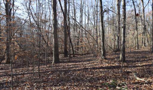 Photo #15 of SOLD property in 334 Westview Drive, Gibsonville, NC 2.9 acres