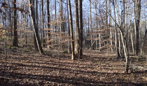 Photo #16 of 334 Westview Drive, Gibsonville, NC 2.9 acres