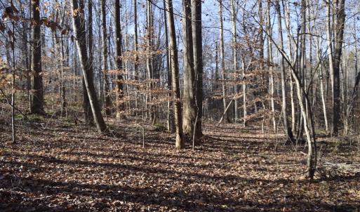 Photo #16 of SOLD property in 334 Westview Drive, Gibsonville, NC 2.9 acres