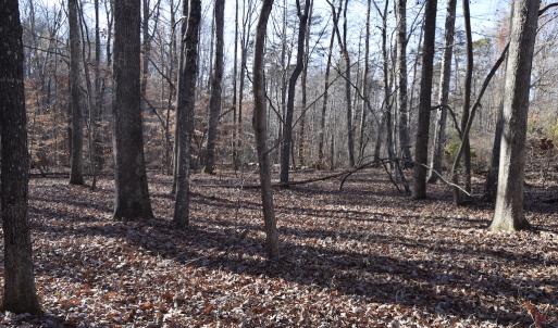 Photo #17 of 334 Westview Drive, Gibsonville, NC 2.9 acres
