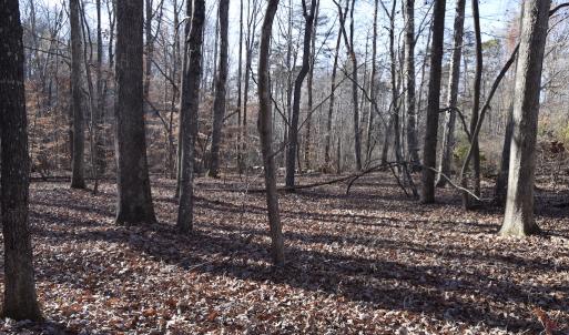 Photo #17 of SOLD property in 334 Westview Drive, Gibsonville, NC 2.9 acres