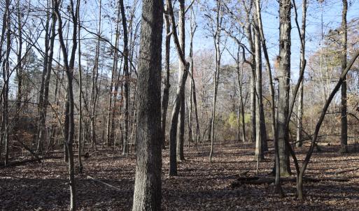 Photo #18 of SOLD property in 334 Westview Drive, Gibsonville, NC 2.9 acres