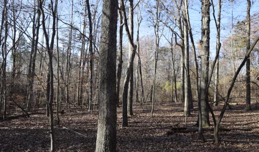 Photo #18 of 334 Westview Drive, Gibsonville, NC 2.9 acres