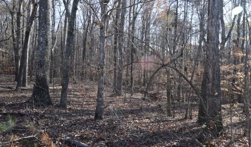 Photo #19 of SOLD property in 334 Westview Drive, Gibsonville, NC 2.9 acres