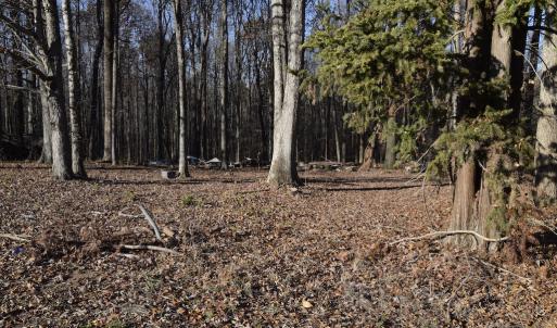 Photo #21 of SOLD property in 334 Westview Drive, Gibsonville, NC 2.9 acres