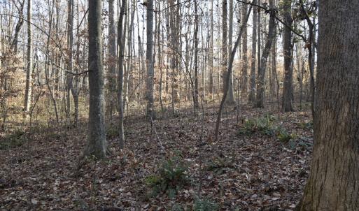 Photo #22 of SOLD property in 334 Westview Drive, Gibsonville, NC 2.9 acres