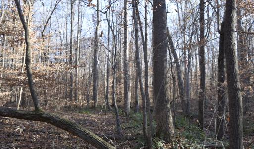 Photo #23 of SOLD property in 334 Westview Drive, Gibsonville, NC 2.9 acres