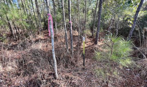 Photo #12 of SOLD property in 280 Arant Farm Rd, Merritt, NC 10.1 acres